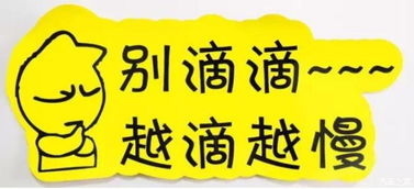 實習車上路 真的可怕嗎？解析馬路上的“隱形警報”與汽車陪駕服務